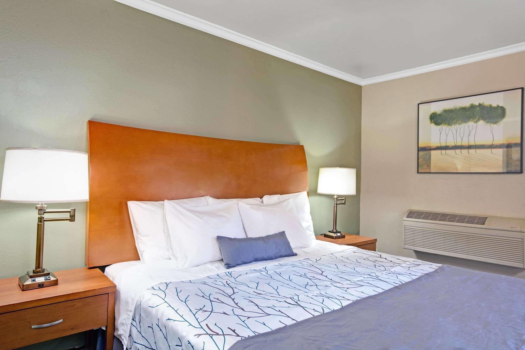 Days Inn By Wyndham San Jose Convention Center מראה חיצוני תמונה